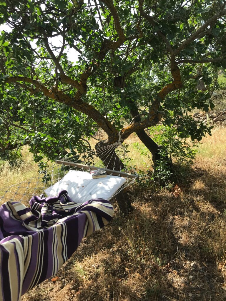 A striped blanket and pillow on a hammock tied to a tree, ideal for relaxation in summer.